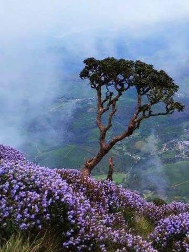 Spring time